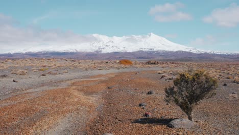 Paisaje-Desértico-En-La-Meseta-Central-Del-Parque-Nacional-De-Tongariro-Con-El-Monte-Ruapehu-En-Segundo-Plano