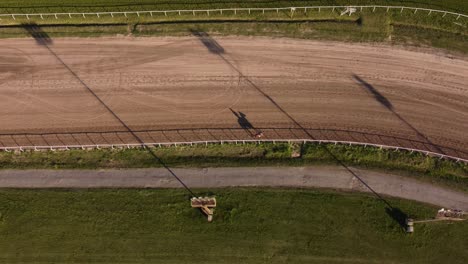 Aerial-top-down-of-horse-walking-on-racecourse-during-sunny-day---Silhouette-of-horse-on-sandy-ground