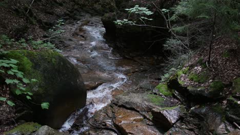 Clear-water-runs-through-a-rocky-forest-floor-as-the-camera-tilts-upstream