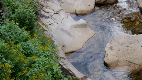 Colorful-water-gently-flows-over-stones-amongst-a-forest