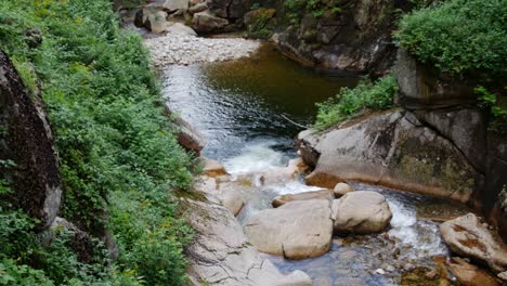 Buntes-Wasser-Fließt-Ruhig-über-Felsen-Inmitten-Eines-Dichten-Waldes,-Während-Die-Kamera-Geneigt-Wird