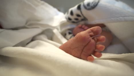 Neugeborene-Füße.-Nahaufnahme-Und-Statische-Ansicht