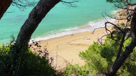 Kleiner-Mittelmeerstrand-In-Sant-Pol-De-Mar-Küste-Von-Barcelona-Sonniger-Tag-Türkisfarbenes-Wasser-Blick-Durch-Einige-Bäume-Von-Der-Höhe-Schießen-Schieber