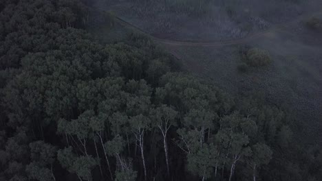 Aerial-drone-tilt-up-from-treetops-to-reveal-foggy-river-valley-beyond