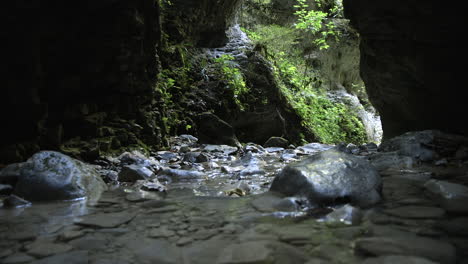 The-bottom-of-a-deep-narrow-canyon-with-lush-green-vegetation-and-a-crystal-clear-water-stream