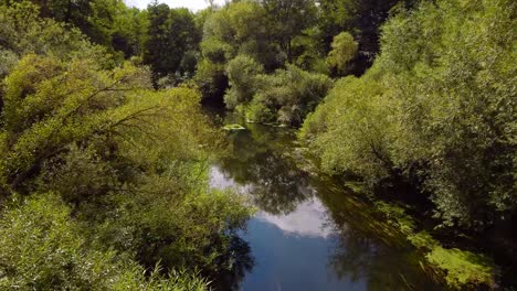 Flying-your-drone-over-the-ouse-Thetford-river-in-a-forest-climate