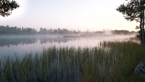 Magical-Mist-Over-Lake-Early-Morning-Rural-Forest-Scene