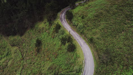 Lean-highway-Asturias-pine-woods-Spain-aerial