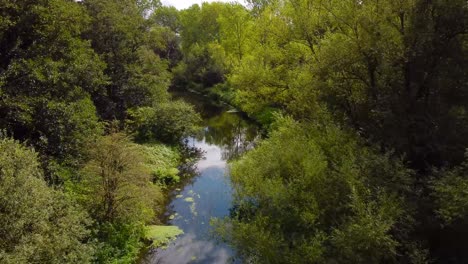 Aerial-low-pass-over-the-calm-stream-between-the-trees---Little-Ouse-river-near-Thetford-in-the-UK