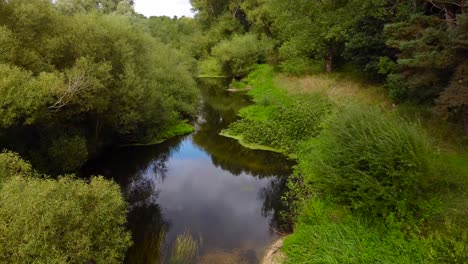 Aerial-fast-low-pass-shot-of-the-small-river-in-the-green-forest---Little-Ouse-near-Thetford-in-the-UK