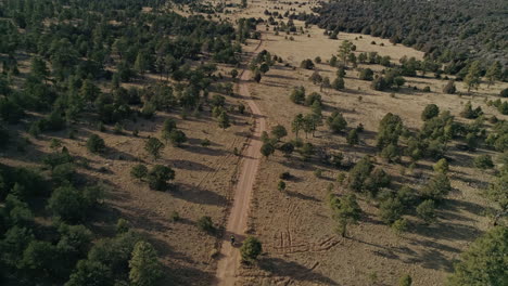 4K-aerial-as-motorcycle-speeds-down-remote-dirt-road-in-desert-forest