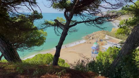 Kleiner-Mittelmeerstrand-In-Sant-Pol-De-Mar-Küste-Von-Barcelona-Sonniger-Tag-Türkisfarbenes-Wasser-Blick-Durch-Einige-Bäume-Von-Der-Höhe-Schießen-Schieber