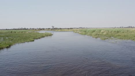 Gruppe-Von-Flusspferden-Im-Cuando-Fluss-Im-Caprivi-Streifen,-Namibia