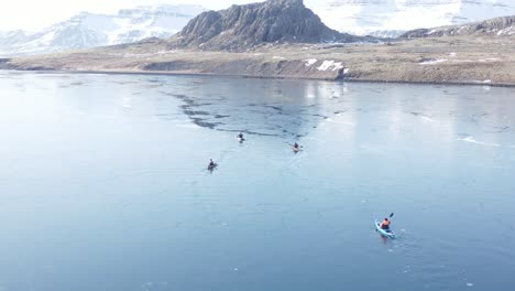 Four-kayakers-in-calm-semi-frozen-water-of-Reydarfjordur-fjord,-aerial