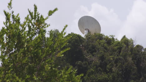 Antena-Parabólica-En-Medio-De-árboles-Verdes-En-El-Observatorio-De-Arecibo-En-Puerto-Rico