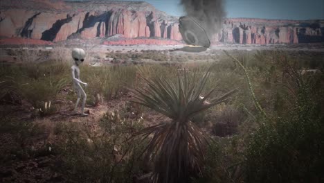 VFX-shot-of-a-classic-Roswell-style-flying-saucer-crashed-in-flames-in-the-New-Mexico-desert-in-the-background,-with-a-classic-little-grey-alien-watching-on,-in-desaturated-color-scheme