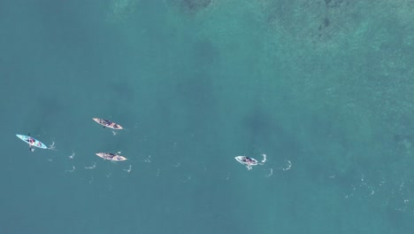 Above-four-kayakers-rowing-in-blue-water-of-Iceland-fjord,-top-down-aerial