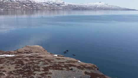Kayakers-traveling-around-Holmanes-peninsula-shore-in-Iceland,-aerial