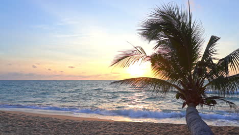 A-horizontal-trunk-palm-tree-reaches-out-over-the-beach-into-a-colorful-setting-sun