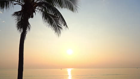Golden-light-of-a-tropical-sunset-shining-and-reflecting-on-the-surface-of-calm-ocean-with-palm-tree-in-foreground