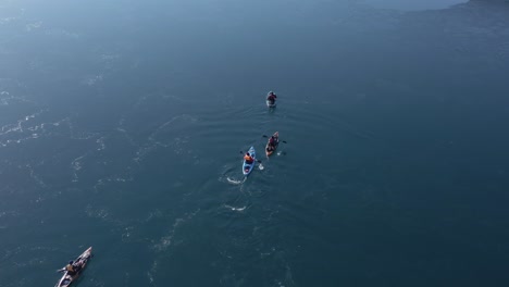 Kayak-trip-in-blue-water-of-Iceland-Fjord,-paddling-towards-Holmanes-Peninsula,-aerial
