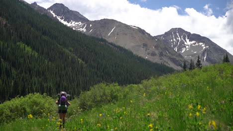 Frau-Mit-Rucksack-Zu-Fuß-Auf-Wanderweg-In-Grüner-Wiese-Unter-Den-Gipfeln-Der-Rocky-Mountains,-Colorado-USA-An-Sonnigen-Sommertagen,-Weite-Sicht-Auf-Den-Rücken,-Vollbild