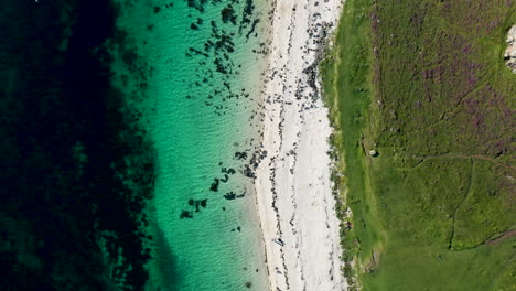 Downward-angle-drone-shot-of-Coral-Beach-in-Claigan-with-white-sandy-beaches-and-tropical-blue-water,-in-Scotland
