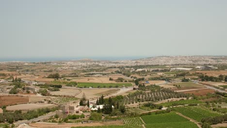 Countryside-Fields-With-Vineyards,-Orchard,-And-Vehicles-Driving-In-The-Road-In-Malta,-Europe