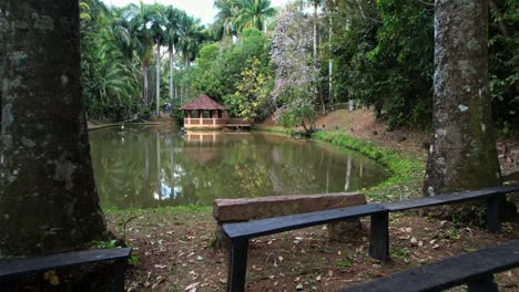 A-small-pond-in-a-village-surrounded-by-trees