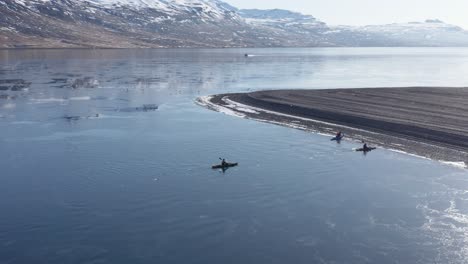 Bright-sunny-day-in-Reydarfjordur-fjord-with-kayakers-landing-on-Iceland-shore,-aerial