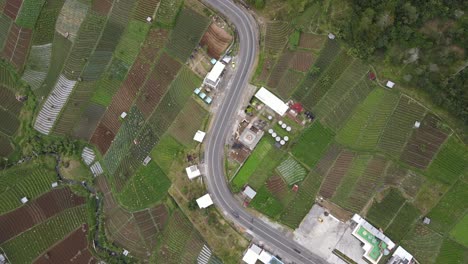 Vista-Aérea,-Paisaje-Rural-En-Las-Laderas-Del-Monte-Lawu,-Campos-Y-Caminos-Sinuosos-Ubicados-En-Tawangmangu,-Indonesia