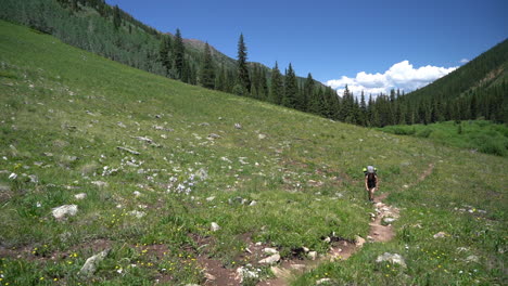 Woman-With-Backpack-Hiking-on-Slope-of-Elk-Mountain,-Maroon-Bells-Snowmass-Wilderness,-Colorado-USA-on-Sunny-Summer-Day,-Wide-View