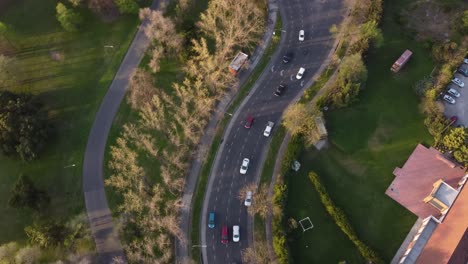 Aerial-top-down-of-many-cars-driving-on-curvy-road-beside-rural-park-area-in-Buenos-Aires-during-sunset-time