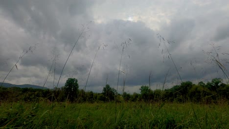Stürmischer-Himmel-Dunkle-Wolken-Zeitraffer-Auf-Einer-Wiese-Mit-Bäumen,-Wäldern-Und-Bergen-Im-Hintergrund