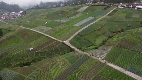 Aerial-view,-rural-scenery-on-the-slopes-of-Mount-Lawu,-vast-fields-and-beautiful-scenery-in-Tawangmangu,-Indonesia