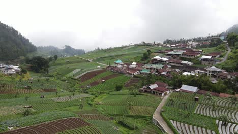 Aerial-view,-rural-scenery-on-the-slopes-of-Mount-Lawu,-vast-fields-and-beautiful-scenery-in-Tawangmangu,-Indonesia