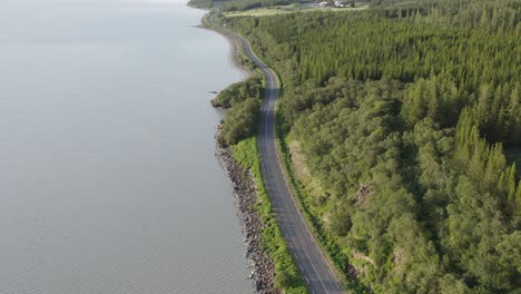 Scenic-route-along-shore-of-lake-Lagarfljót-with-Hallormsstaður-forest,-aerial