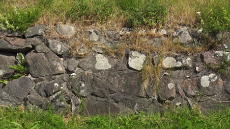 Ein-Blick-Auf-Eine-Alte-Steinmauer,-Die-Mit-Dem-Hügel-Verschmolzen-Ist-Und-In-Die-Gras-Gewachsen-Ist