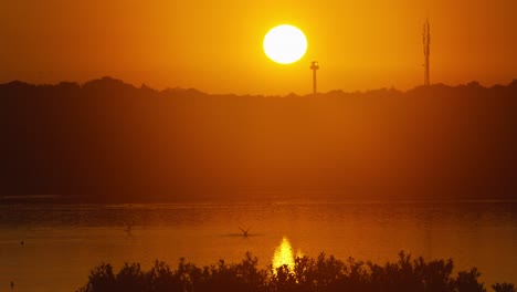 Silhouettierte-Vögel-Auf-Ruhigen-Seewasserklappenflügeln-Und-Fliegen-Mit-Goldenem-Sonnenuntergang-Im-Hintergrund