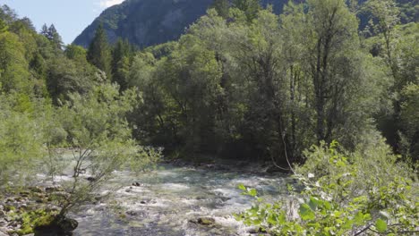 Eine-Schwenkaufnahme-Des-Flusses-Soča,-Der-Durch-Die-Grüne-Vegetation-Sichtbar-Ist