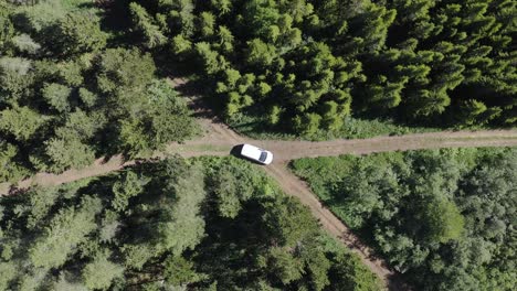 White-car-parked-on-dirt-road-intersection-in-middle-of-green-forest,-aerial