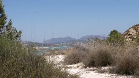 Shrubs-and-bushes-in-arid-Spanish-landscape-with-salt-lake-in-the-background