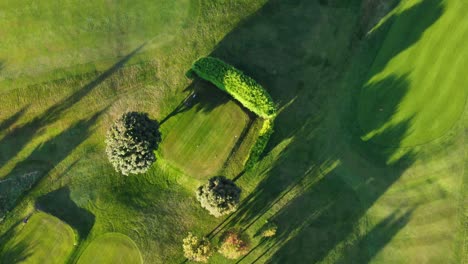 Aerial-Drone-Shot-of-Trees-and-Shadows-From-Morning-Sun-Over-Houghton-Le-Spring-Golf-Course