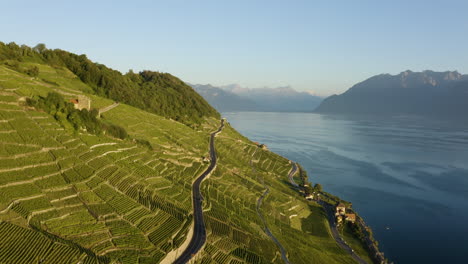 Lavaux-Green-Vineyards-And-Lake-Leman-During-Sunset-In-Canton-of-Vaud-in-Switzerland