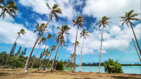 An-empty-beach-by-a-paradisiacal-lagoon-with-coconut-tree-and-columnar-pines-on-the-Isle-of-Pines-in-New-Caledonia---time-lapse