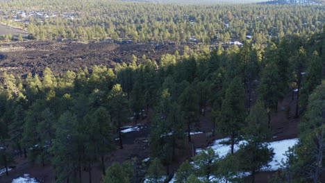 Birds-eye-view-of-dry-barren-old-lava-field-amidst-green-vegetation-at-Sunset-Crater-volcano