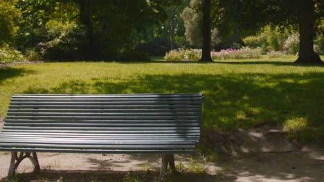 Camera-panning-over-an-empty-bench-at-the-center-of-a-park-on-a-bright-sunny-day
