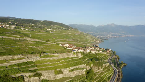Terrace-Of-Vineyards-On-Mountain-Hills-Near-Rivaz-Village-Overlooking-Lake-Geneva-In-Switzerland