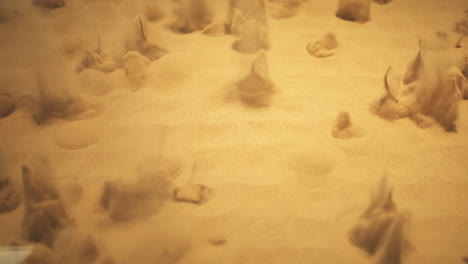 Fluid-sand-science-experiment-looking-like-volcano-explosions