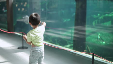 Kleines-Kind-Im-Aquarium-Des-Wissenschaftsmuseums,-Das-Fische-In-Einem-überfluteten-Wald-Betrachtet